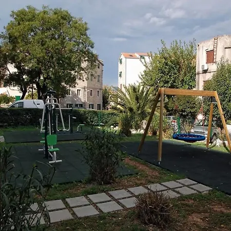 Happy Jackdaw In Center Of * Split